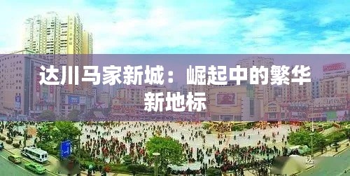 第294页