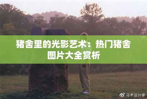 回眸最初