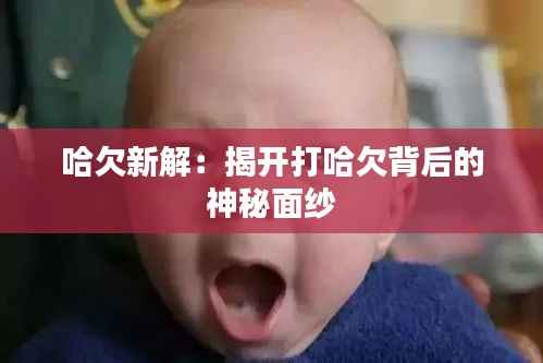 联系方式 第293页