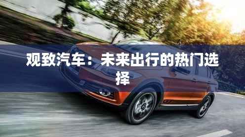 观致汽车:未来出行的热门选择