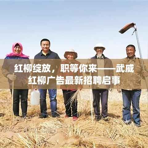 出境旅游 第290页