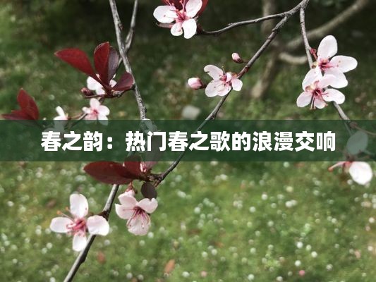 第286页