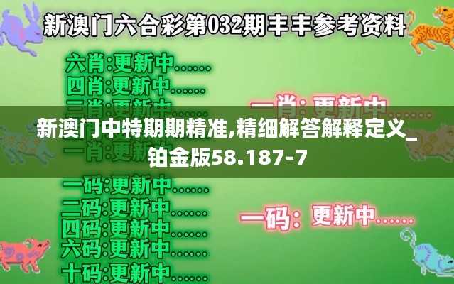 新澳门中特期期精准,精细解答解释定义_铂金版58.187-7