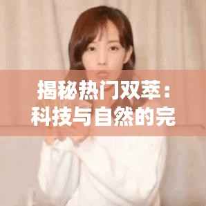 合作流程 第281页