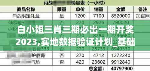 白小姐三肖三期必出一期开奖2023,实地数据验证计划_基础版6.289