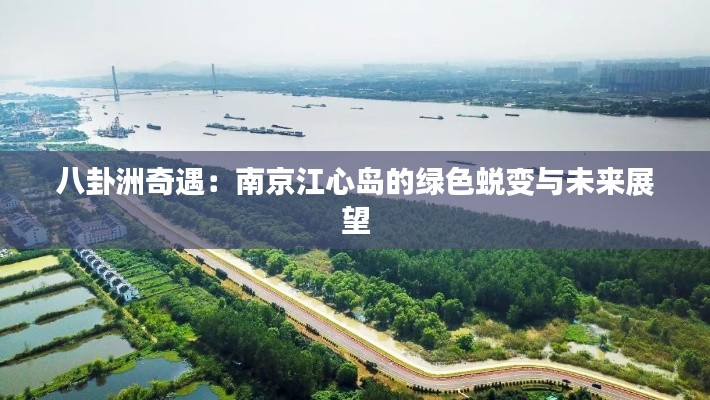 合作流程 第273页