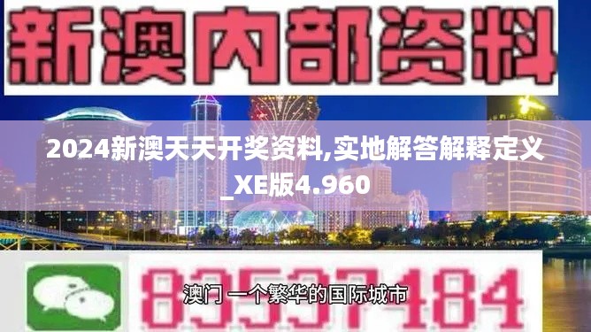 2024新澳天天开奖资料,实地解答解释定义_XE版4.960