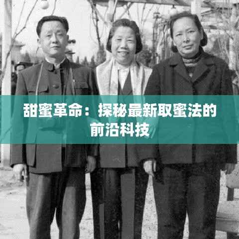 甜蜜革命：探秘最新取蜜法的前沿科技