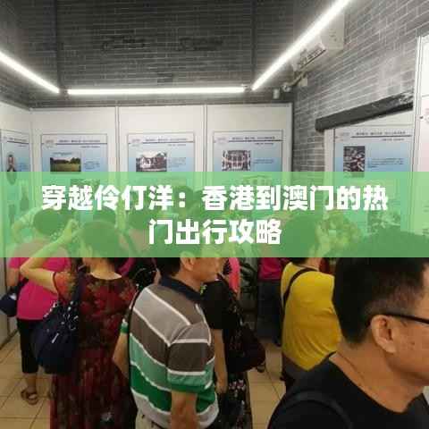 穿越伶仃洋:香港到澳门的热门出行攻略