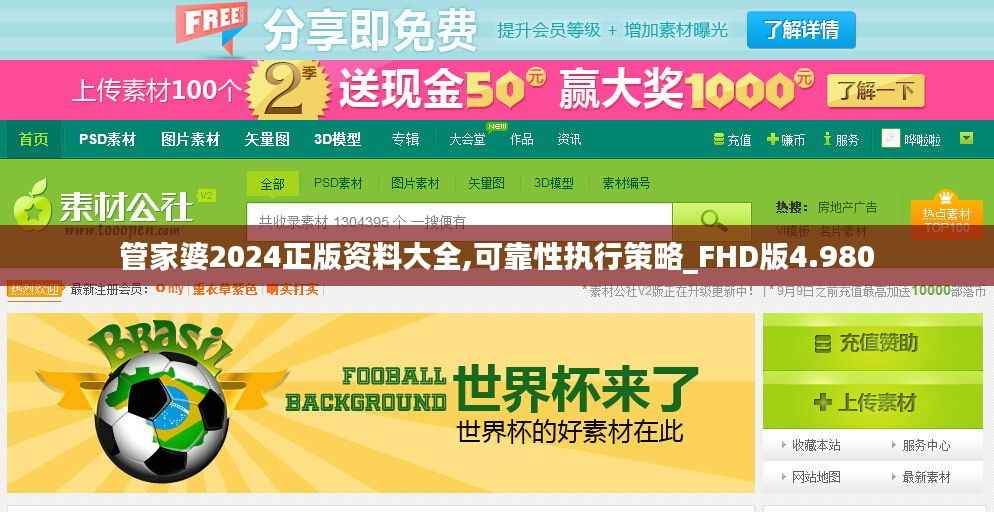 管家婆2024正版资料大全,可靠性执行策略_FHD版4.980