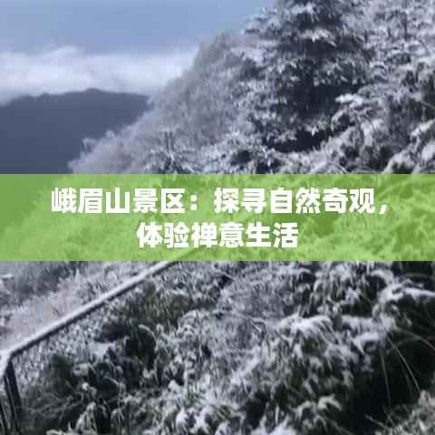 峨眉山景区：探寻自然奇观，体验禅意生活