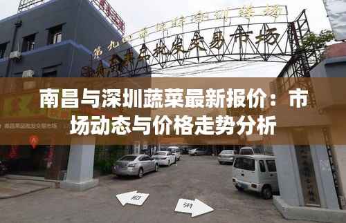 南昌与深圳蔬菜最新报价:市场动态与价格走势分析