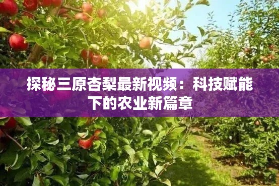 探秘三原杏梨最新视频：科技赋能下的农业新篇章