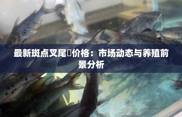 最新斑点叉尾鮰价格：市场动态与养殖前景分析
