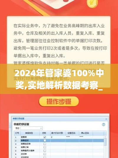 2024年管家婆100%中奖,实地解析数据考察_视频版9.941