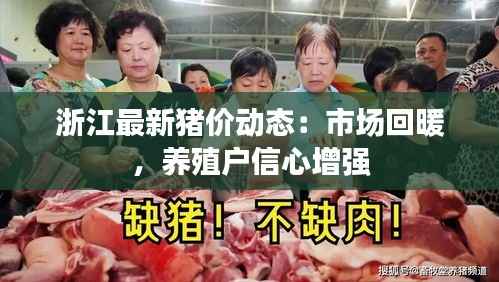 浙江最新猪价动态:市场回暖,养殖户信心增强