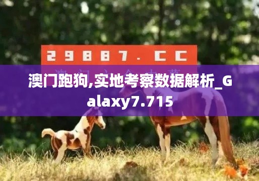 澳门跑狗,实地考察数据解析_Galaxy7.715