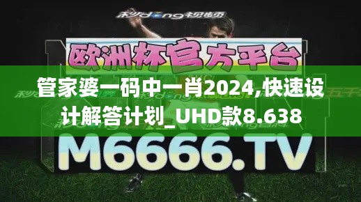 管家婆一码中一肖2024,快速设计解答计划_UHD款8.638