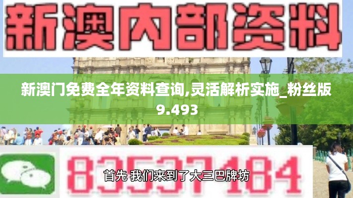 新澳门免费全年资料查询,灵活解析实施_粉丝版9.493