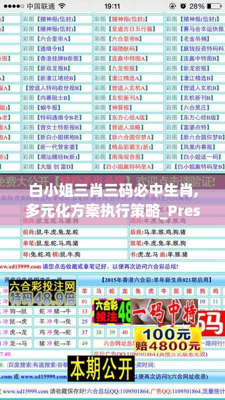 白小姐三肖三码必中生肖,多元化方案执行策略_Prestige9.602