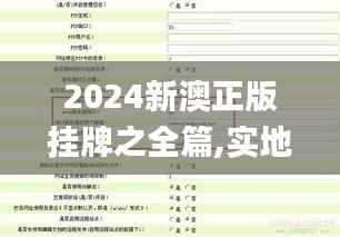 2024新澳正版挂牌之全篇,实地方案验证策略_X版8.796