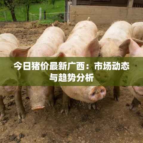 今日猪价最新广西:市场动态与趋势分析