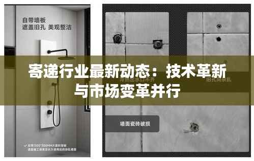 寄递行业最新动态:技术革新与市场变革并行