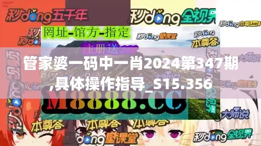 管家婆一码中一肖2024第347期,具体操作指导_S15.356