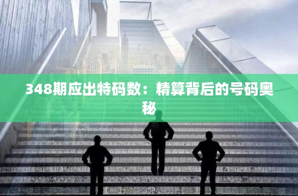 348期应出特码数:精算背后的号码奥秘