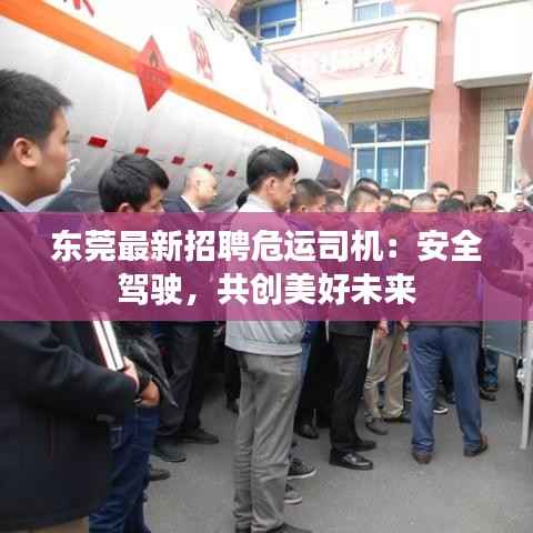 东莞最新招聘危运司机：安全驾驶，共创美好未来