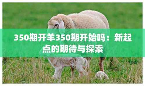 350期开羊350期开始吗:新起点的期待与探索