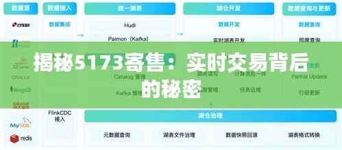 揭秘5173寄售：实时交易背后的秘密