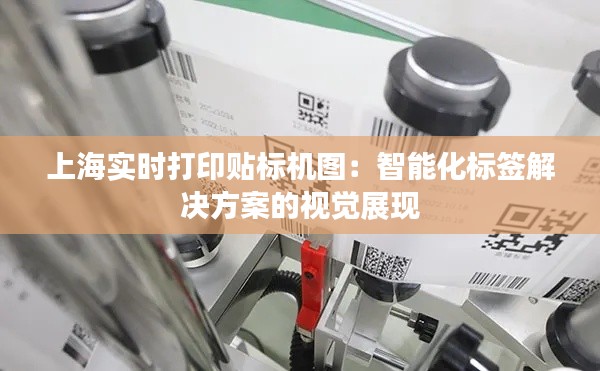 上海实时打印贴标机图：智能化标签解决方案的视觉展现