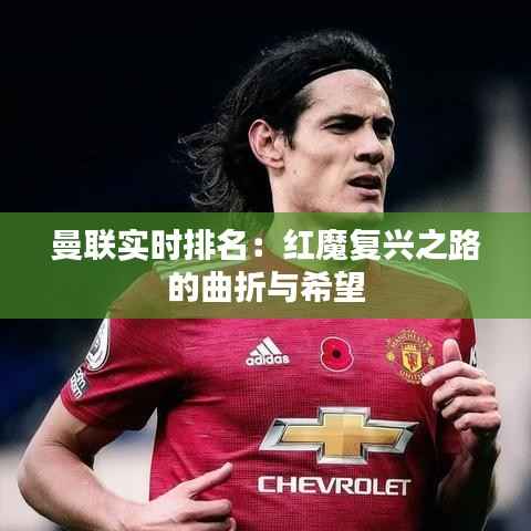 曼联实时排名：红魔复兴之路的曲折与希望