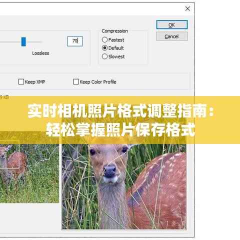 井底之蛙 第3页