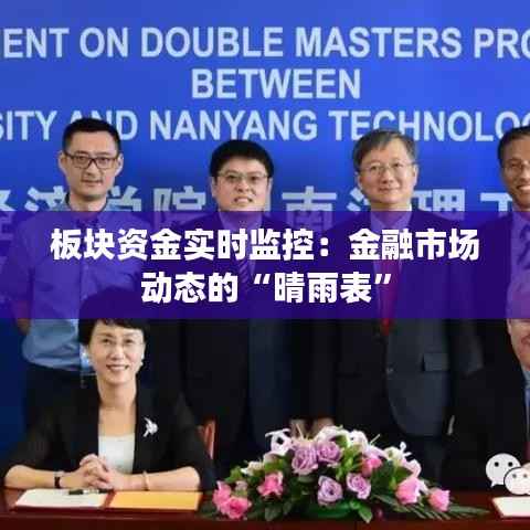 板块资金实时监控：金融市场动态的“晴雨表”