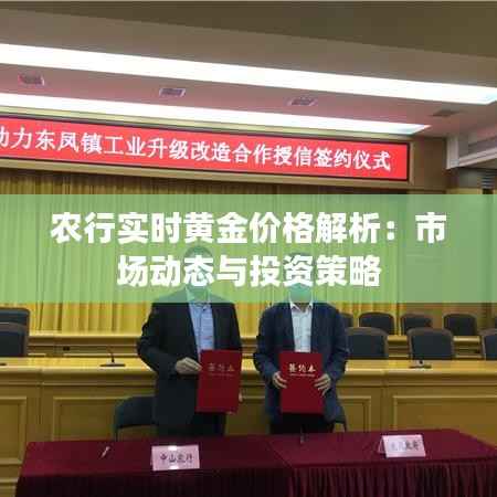 农行实时黄金价格解析：市场动态与投资策略