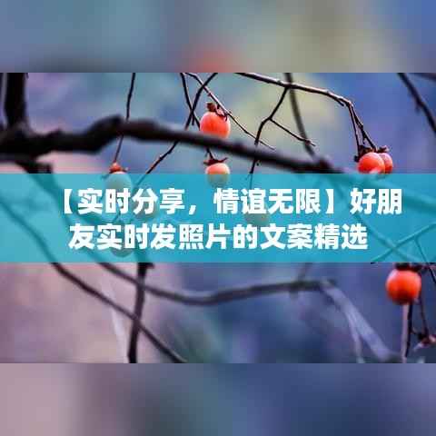 【实时分享，情谊无限】好朋友实时发照片的文案精选