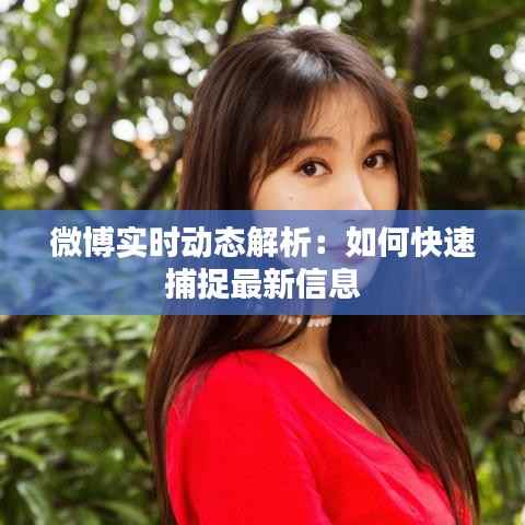 微博实时动态解析:如何快速捕捉最新信息