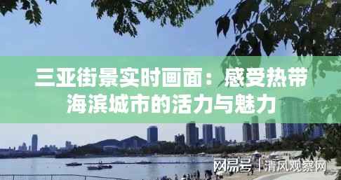 三亚街景实时画面:感受热带海滨城市的活力与魅力
