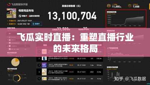 飞瓜实时直播:重塑直播行业的未来格局