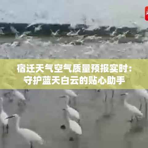 宿迁天气空气质量预报实时：守护蓝天白云的贴心助手