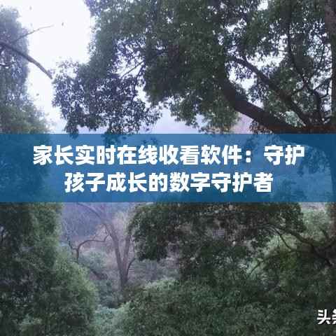 家长实时在线收看软件：守护孩子成长的数字守护者