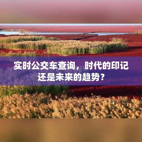 实时公交车查询,时代的印记还是未来的趋势?