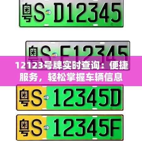 12123号牌实时查询：便捷服务，轻松掌握车辆信息