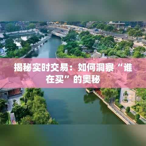 揭秘实时交易：如何洞察“谁在买”的奥秘