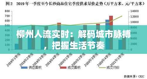 柳州人流实时：解码城市脉搏，把握生活节奏