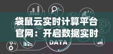 袋鼠云实时计算平台官网：开启数据实时处理新时代