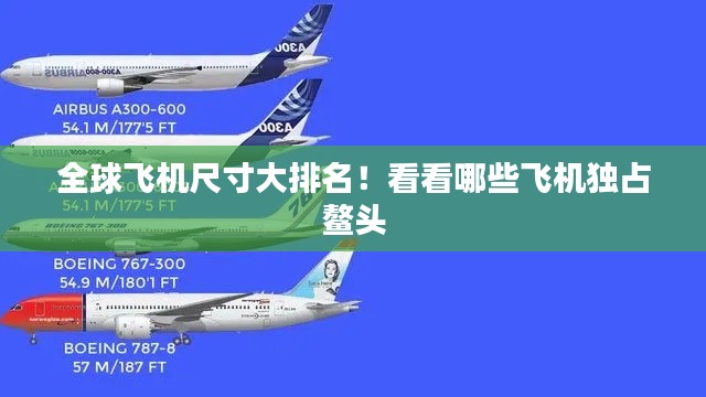 全球飞机尺寸大排名！看看哪些飞机独占鳌头