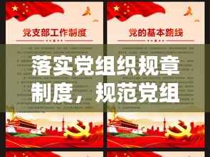落实党组织规章制度,规范党组织的制度建设